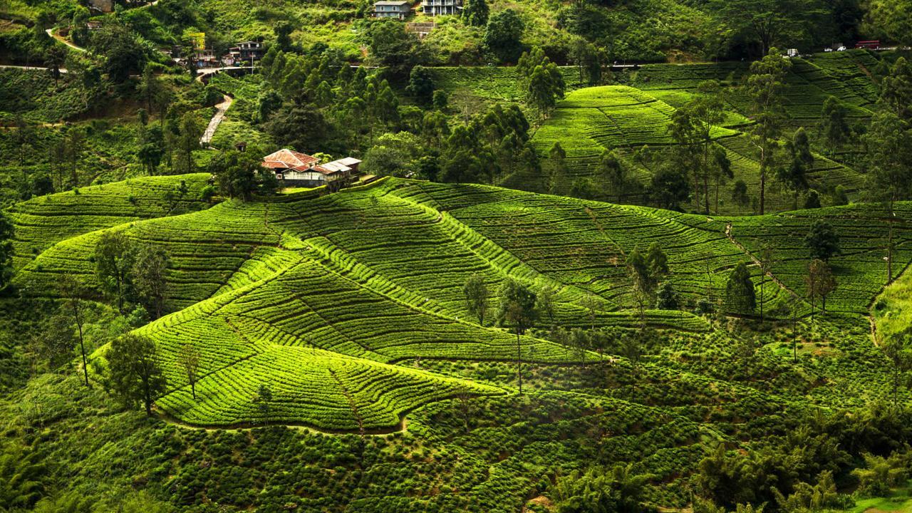 Kirula Green Hotel Nuwara Eliya Dış mekan fotoğraf
