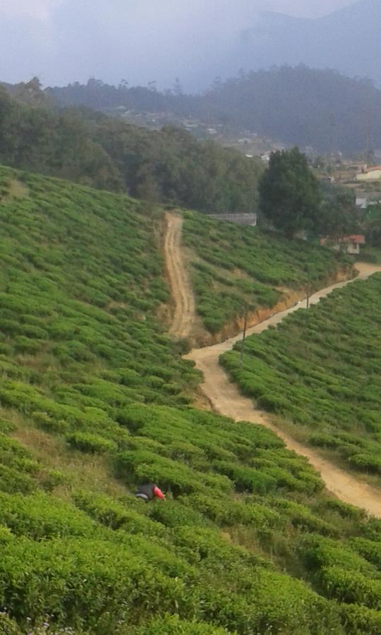 Kirula Green Hotel Nuwara Eliya Dış mekan fotoğraf
